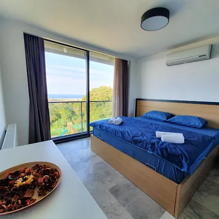 Royal Blue Jade 8 Ağva